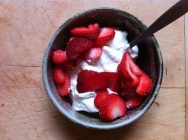 yogurt berries